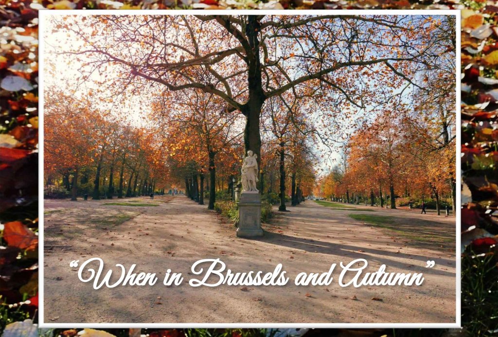 When in Brussels and Autumn 2019-001